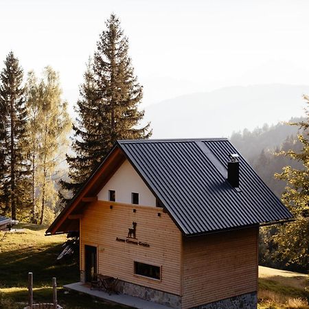 Alpine Cottage Golica Есенице Экстерьер фото