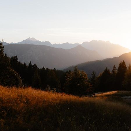 Alpine Cottage Golica Есенице Экстерьер фото
