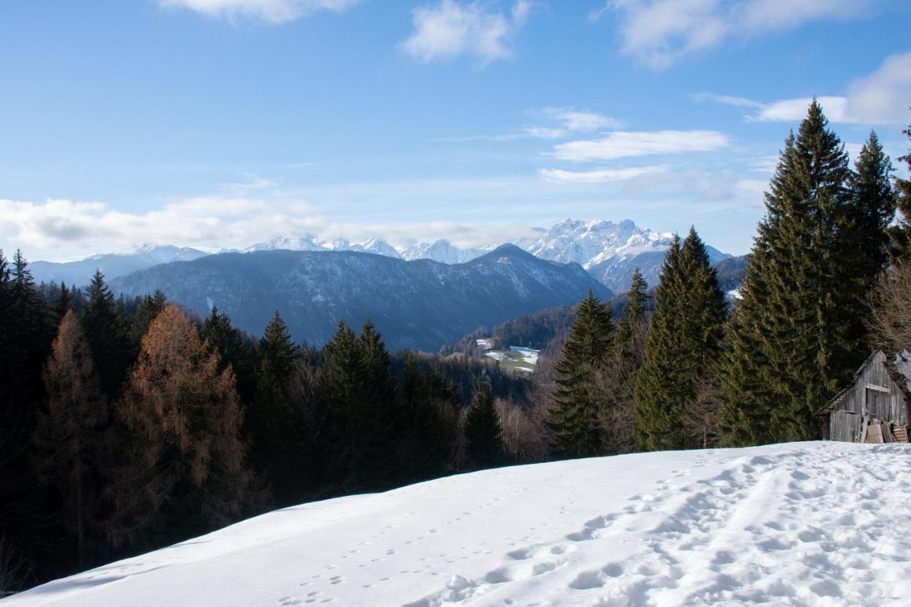 Alpine Cottage Golica Есенице Экстерьер фото