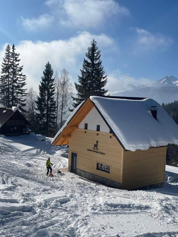 Alpine Cottage Golica Есенице Экстерьер фото