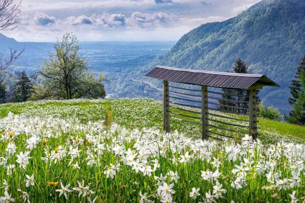 Alpine Cottage Golica Есенице Экстерьер фото