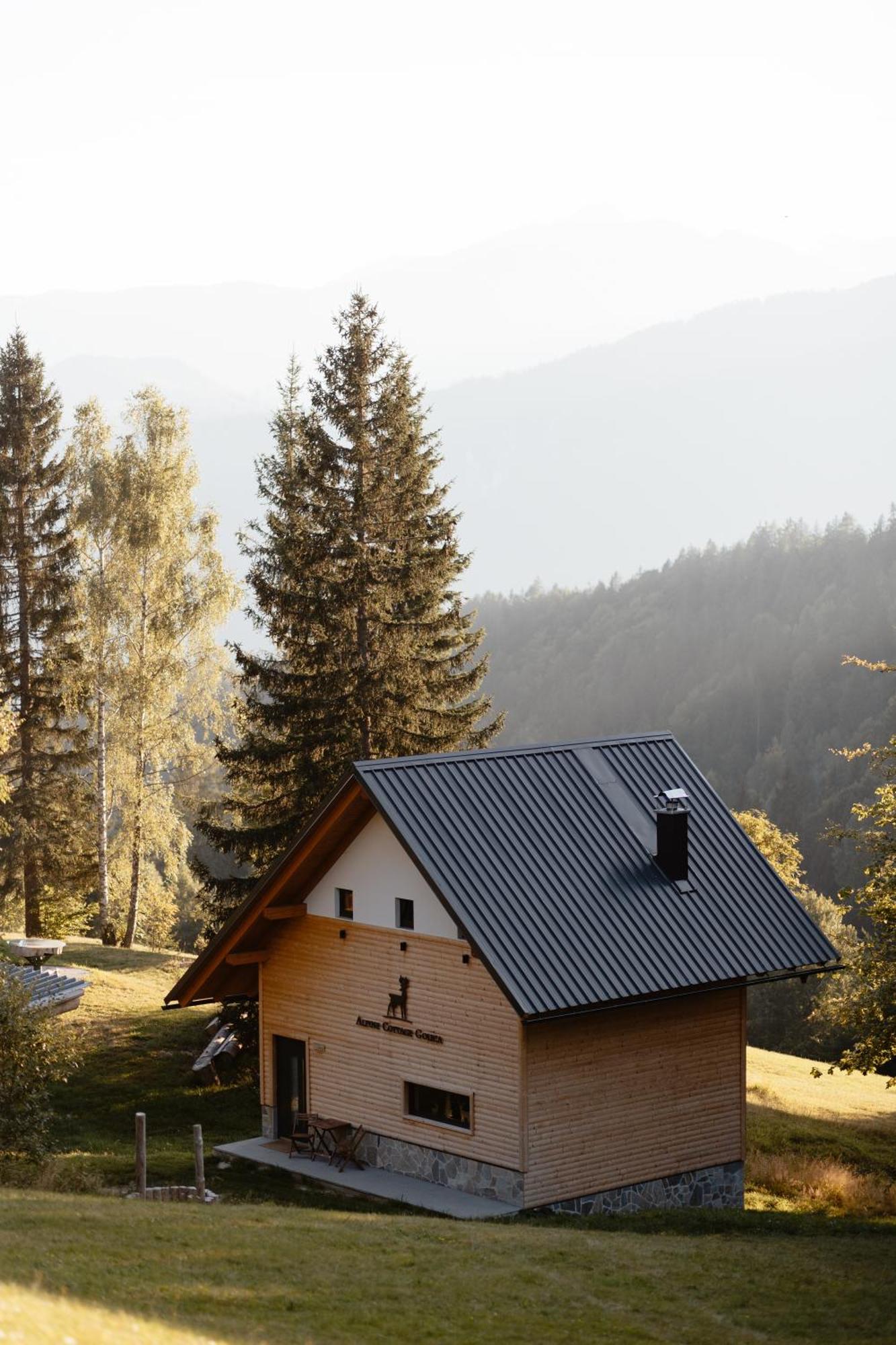 Alpine Cottage Golica Есенице Экстерьер фото